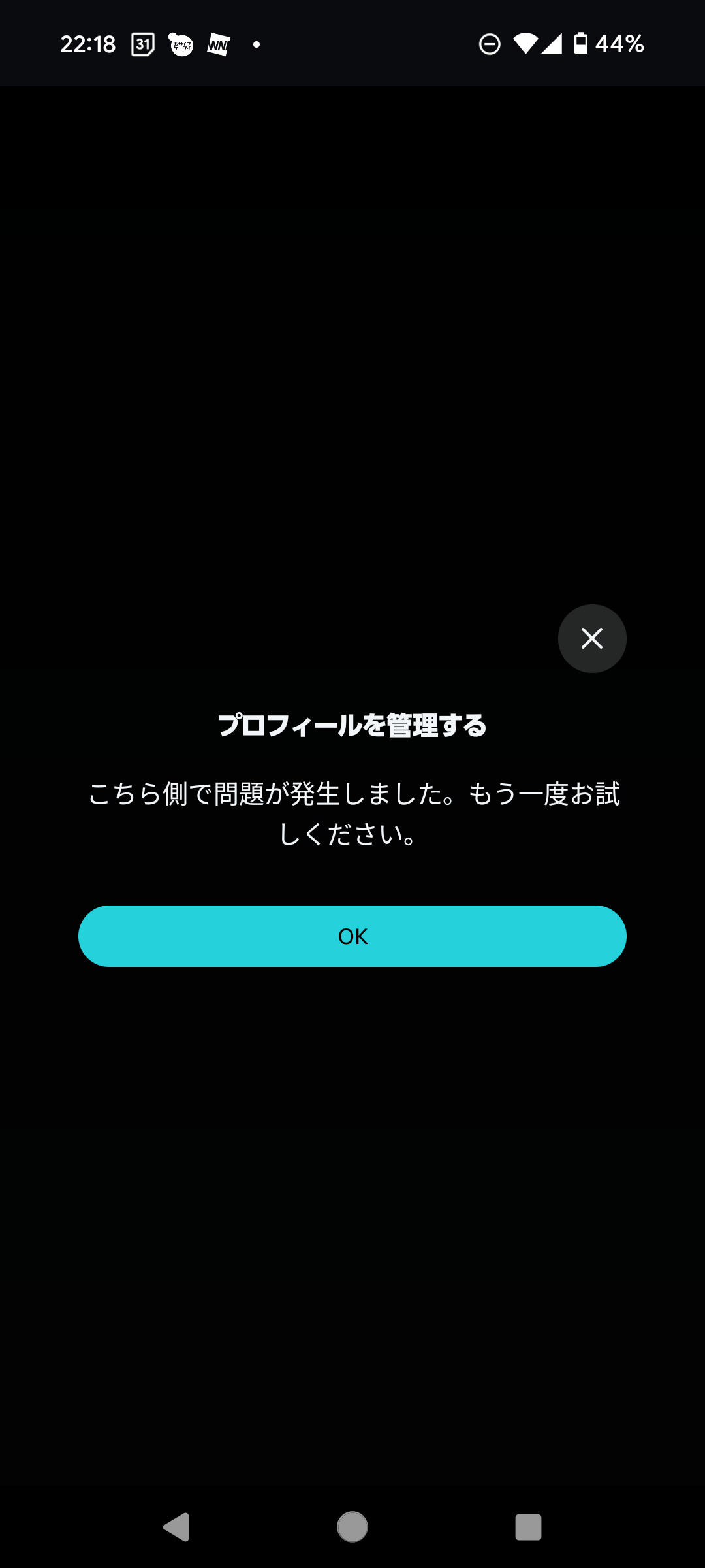 活動歴および当時の関連ビジュアル記録
